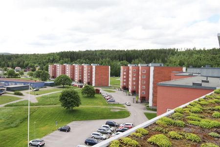 Midälva, Sundsvall, Västernorrland - Photo 2