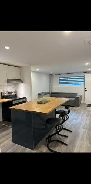 ​Superbe appartement 3 ½ entièrement rénové moderne dans un Triplex , style condo. Semi-meublé - Photo 1