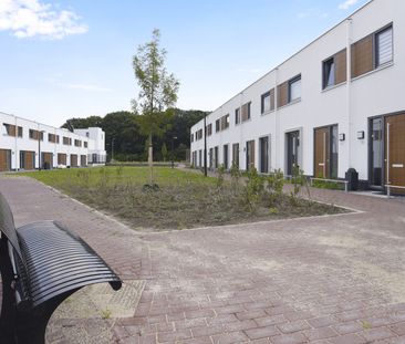 Te huur: Muurhagedis 3 - Photo 2