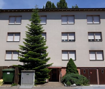 Erstbezug nach Sanierung - Photo 4