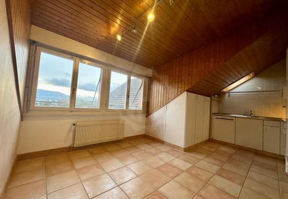 Ravissant Appartement - Coppet - Foto 1