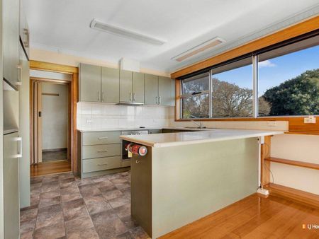 Sun Filled Family Home - Photo 4