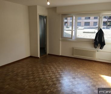Bel appartement rénové de 3 pièces au calme à Carouge - Photo 1