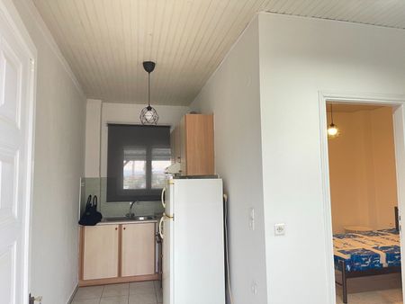 Studio/Γκαρσονιέρα για ενοικίαση Δήλεσι (Οινόφυτα) - Photo 5