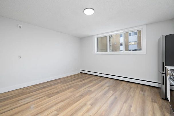 Parklane Manor Apartments – 114 Street NW — Renovated Studio Apartment in Edmonton | Pet-Friendly | Bright South-Facing Unit - Photo 1