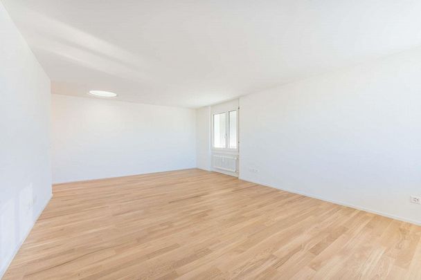 Traumhafte Attikawohnung mit Seepanorama! - Foto 1