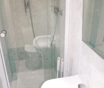 Location Appartement 1 pièce 11m² GRENOBLE 38000 - Photo 4