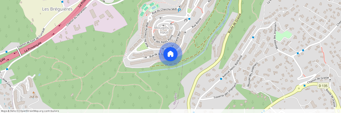 Mougins