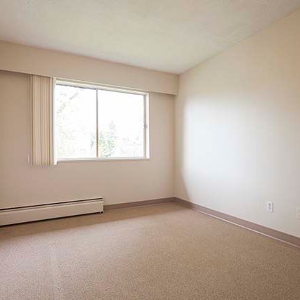 Holly Tree Apartments - 1 Bedroom - Photo 1