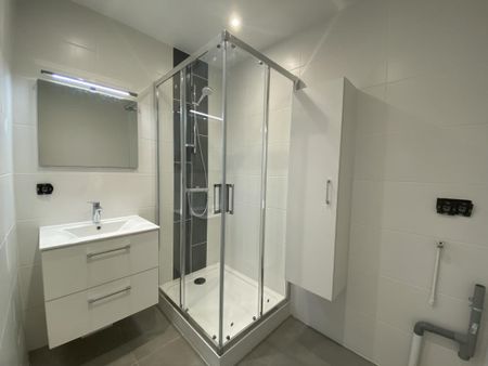 Location Appartement 1 pièce 33m² ANNECY 74000 - Photo 4