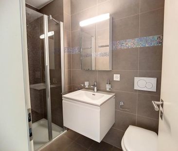 Sion – Joli studio à l’ouest de la ville, avec place de parc - Photo 5