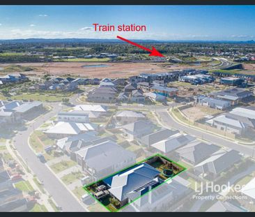 Modern Gem - Photo 4