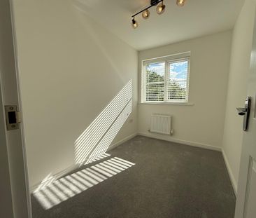 3 Bedroom House To Rent - Photo 4