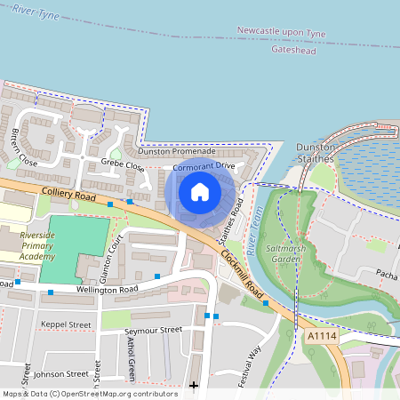 Cormorant Drive, Gateshead, NE11