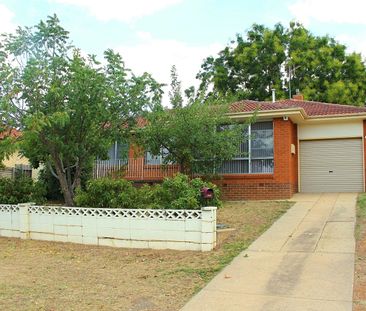 27 Haines Street, Curtin ACT 2605 - House For Rent | Domain - Photo 3