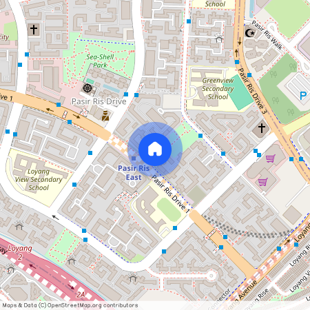 211 Pasir Ris Street 21 (510211), Singapore