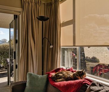 3 Bedroom Havelock North Home - Photo 5