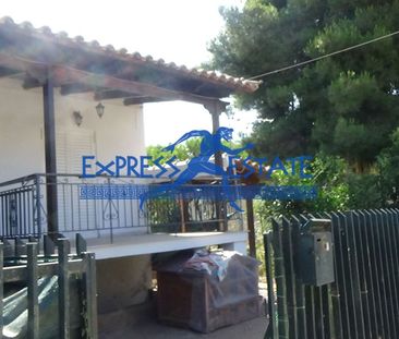 Μονοκατοικία για ενοικίαση - Νέα Μάκρη - Photo 5