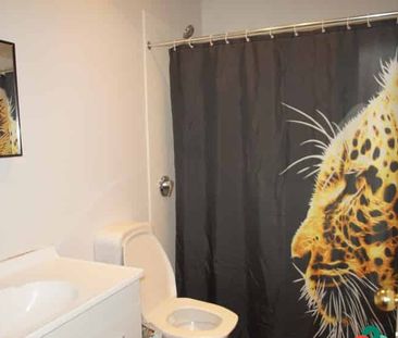 Sun and Comfort - Photo 1