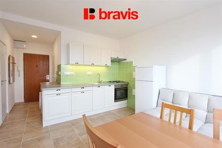 Pronájem bytu 2+kk 32 m², Palackého třída 2659, Brno - Photo 4