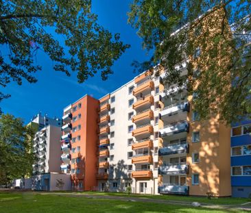 Demnächst frei! 3-Zimmer-Wohnung in Düsseldorf Hassels - Photo 1