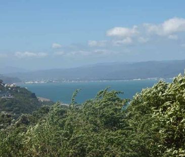 Sunny Studio Flat - Photo 4