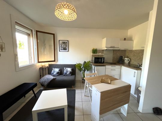 Location Appartement 1 pièce 25m² - Photo 1