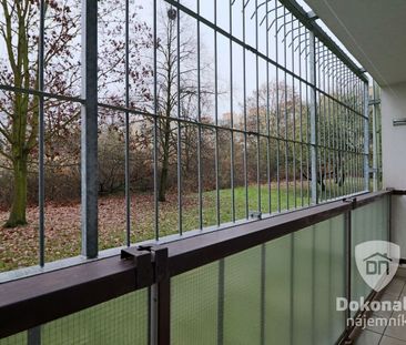 Pronájem bytu 1+kk 38 m² - Fotografie 5