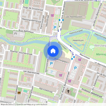 Erasmusplein 2532 RA 's-Gravenhage