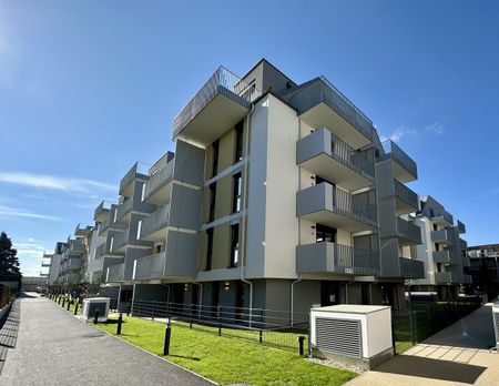 1 Monat Mietzinsfrei: Erstbezug im Grünen Nahe der U2 - zwischen Badeteich Hirschstetten & Seestadt - Photo 4