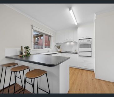 Lifestyle Location! - Photo 3