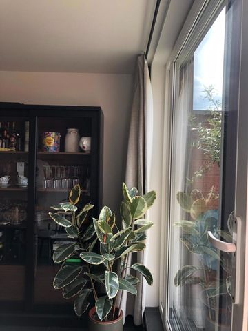 Zuidgericht duplex appartement nabij de Visserij (2 terrassen) - Foto 4