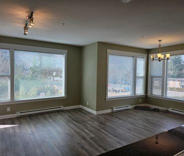 Spacious On Holland! - Photo 1