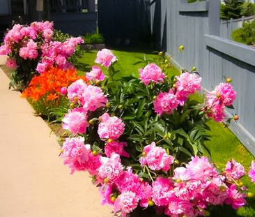 A Charming Retreat With Lush Driveway Peonies. Fully Developed Base... - Photo 6