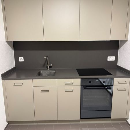 Sanierte Wohnung mit Gartensitzplatz - Foto 3