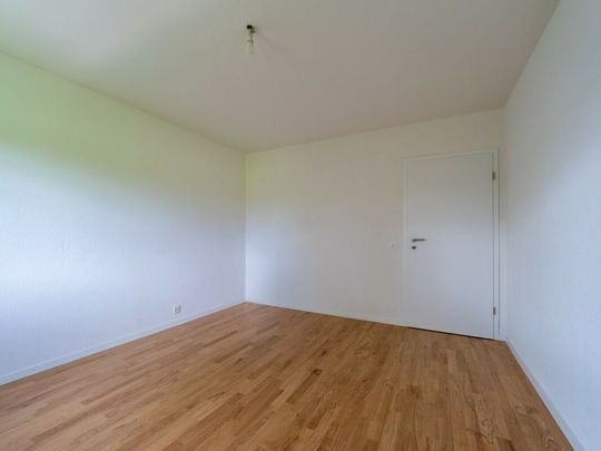 COTTENS (FR) - 3.5 pièces au rez-de-chaussée - Photo 1