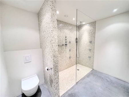 Penthouse te huur - Foto 4