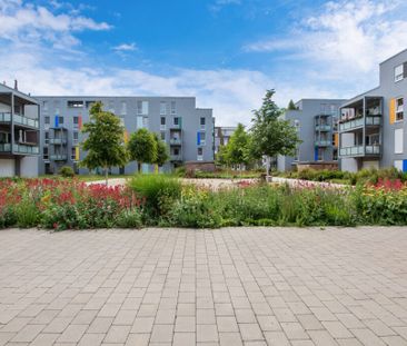 3-Zimmer-Wohnung mit Balkon - Photo 2