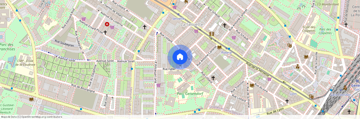 1201, Genf, Rue Faller