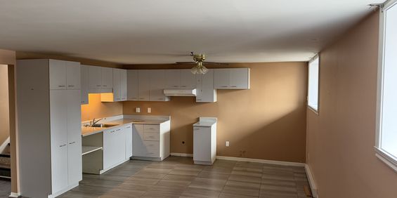 4 1/2 Demi Sous-sol A Louer - Photo 3