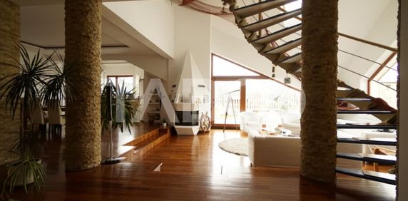 Casa individuala de inchiriat cu 4 camere si 510 teren liber - Fotografie 2