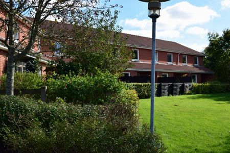 Frugthaven 6, 7800 - Foto 4