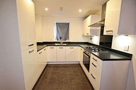 Falcon Crescent, Norwich - Photo 4