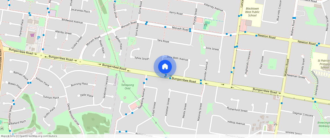 ** Dina Beth Avenue, Blacktown, NSW 2148