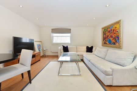 1 Bed Flat, Halkin Street, SW1X - Photo 5