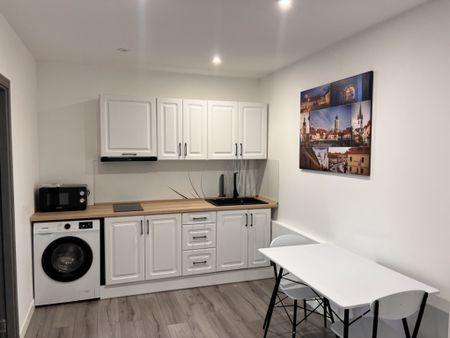 Camere tip studio ultracentral aproape facultate Medicina - Fotografie 4