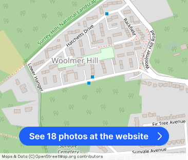 Lower Hanger, Haslemere, GU27 - Photo 1