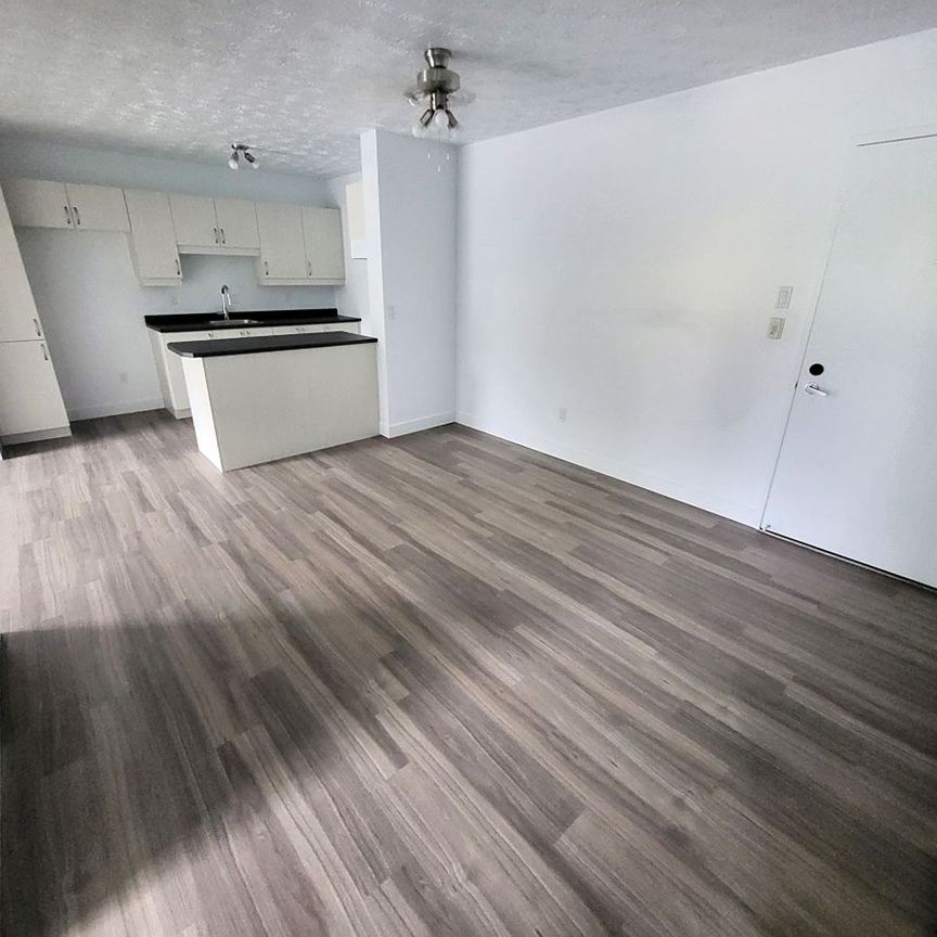 Appartement 4 ½ rénové à louer – Sherbrooke, Secteur Université & Mont-Bellevue - Photo 1