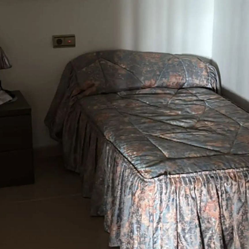 Finca rústica de alquiler en Partida Pino, 11l, Los Montesinos - Foto 1