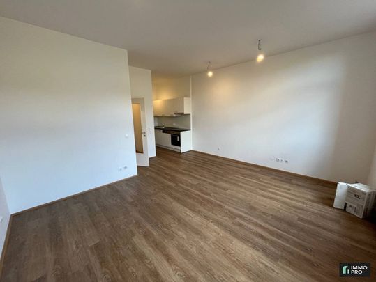 Sanierte 1-Zimmer-Wohnung mit neuer Einbauküche in Donawitz zu vermieten - Photo 1